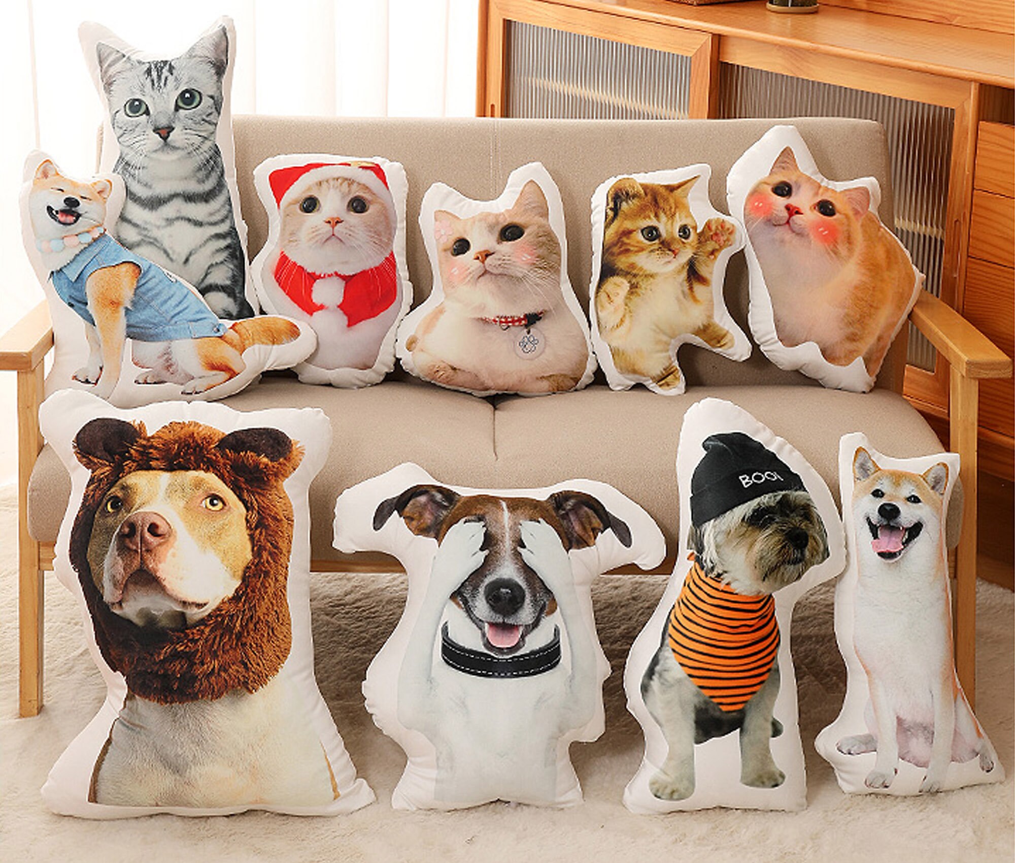 present pets unbox themselves