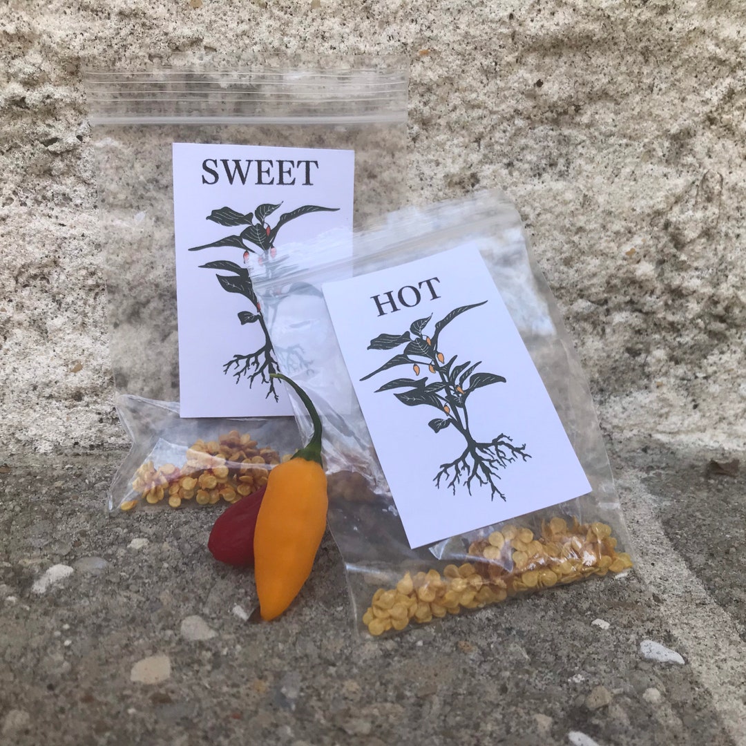 Datil Pepper Seeds Hot or Sweet Etsy