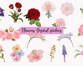Vintage Flowers Digital sticker Pre-cropped Digital Stickers Flower digital stickers Digital Journal stickers Flowers Digital stickers