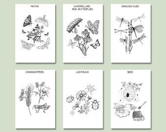 Insects Coloring Pages, 6 Pages, Spring & Summer, Nature Coloring Book, Homeschool Printable