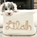 see more listings in the + Dog Storage Baskets section