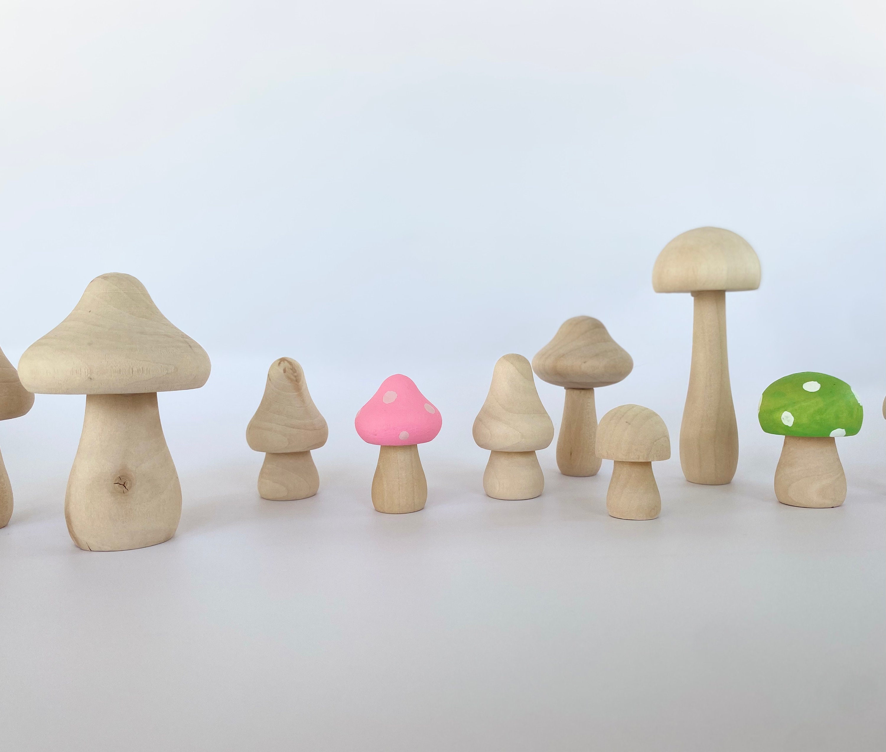 Unfinished Wooden Mushrooms Natural Mini Wooden Mushrooms Various Sizes  Wooden Mushroom Figures Crafts, DIY Project Decorations Paint Colors Home  Desk Bookshelf Decor 
