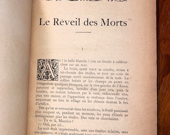 Le Réveil des Morts Par Roland Dorgeles 1923 / Rare Antique COLLECTIBLE French Book The Awakening of the Dead By Roland Dorgeles