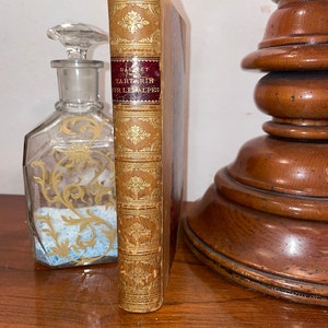 Tartarin sur les Alpes 1886 First Edition / ALPHONSE DAUDET / Antique collectible French book