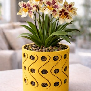 Op de afbeelding: Een orchidee in pot met crèmekleurige en bordeauxrode bloemen. De plant staat in een felgele cilindrische pot met een herhalend golf- en zeshoekpatroon. De pot is gevuld met aarde en kleine houtsnippers.