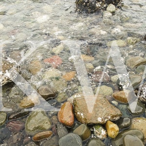 Beach Rocks