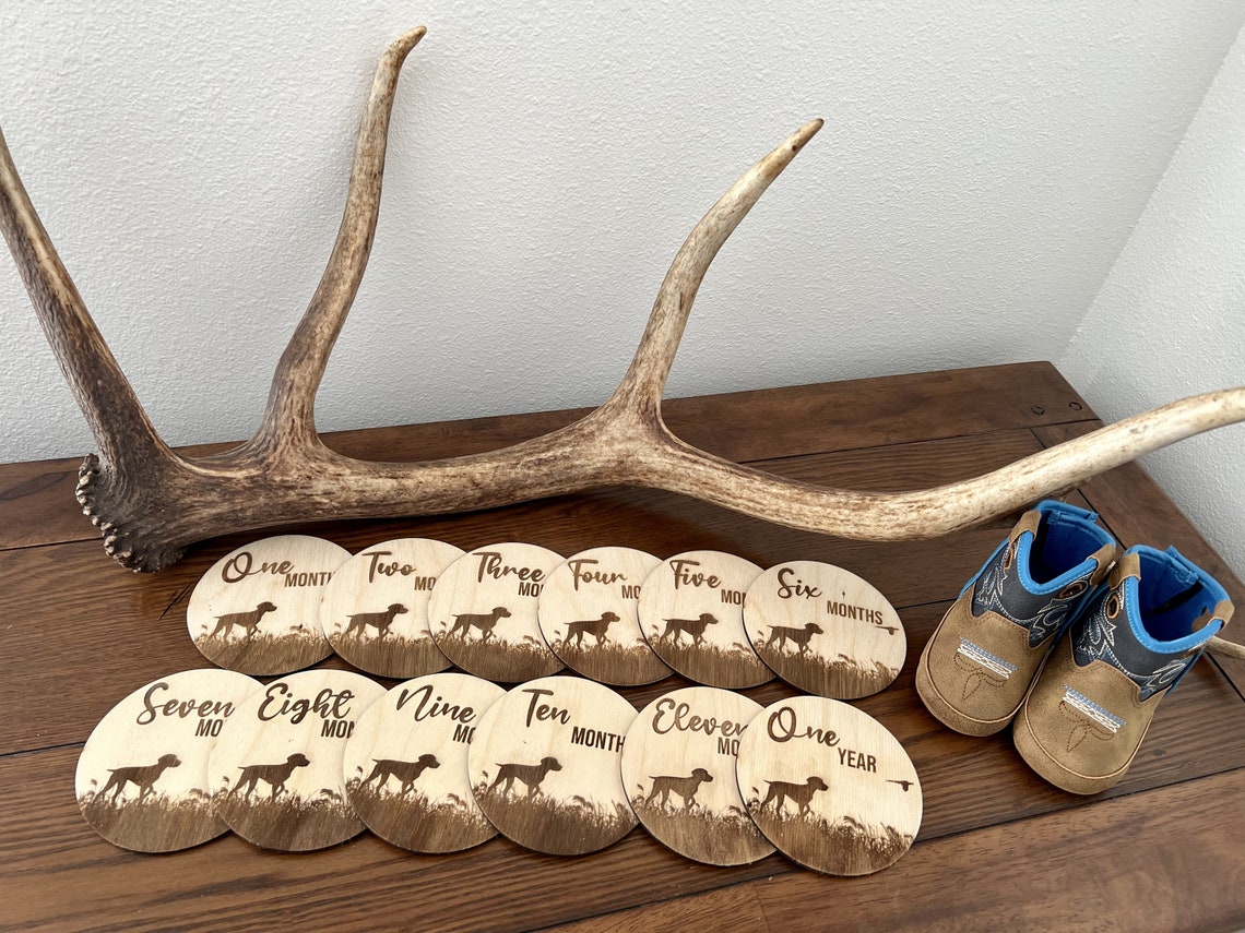 GSP Baby Bundle Milestones & Closet Dividers German Shorthaired Pointer