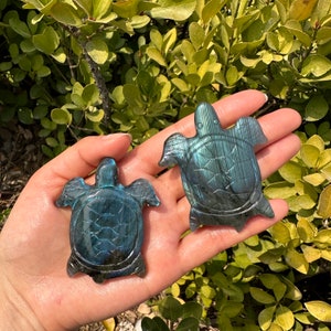 2.5&quot; Labradorite Turtle