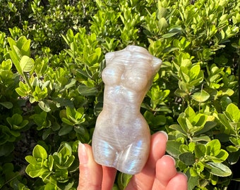 Pode incluir: Uma estatueta de pedra esculpida de um torso feminino, em cor clara. A escultura tem formas suaves e arredondadas e sutis reflexos iridescentes. O fundo é um arbusto verde exuberante, proporcionando um contraste natural.