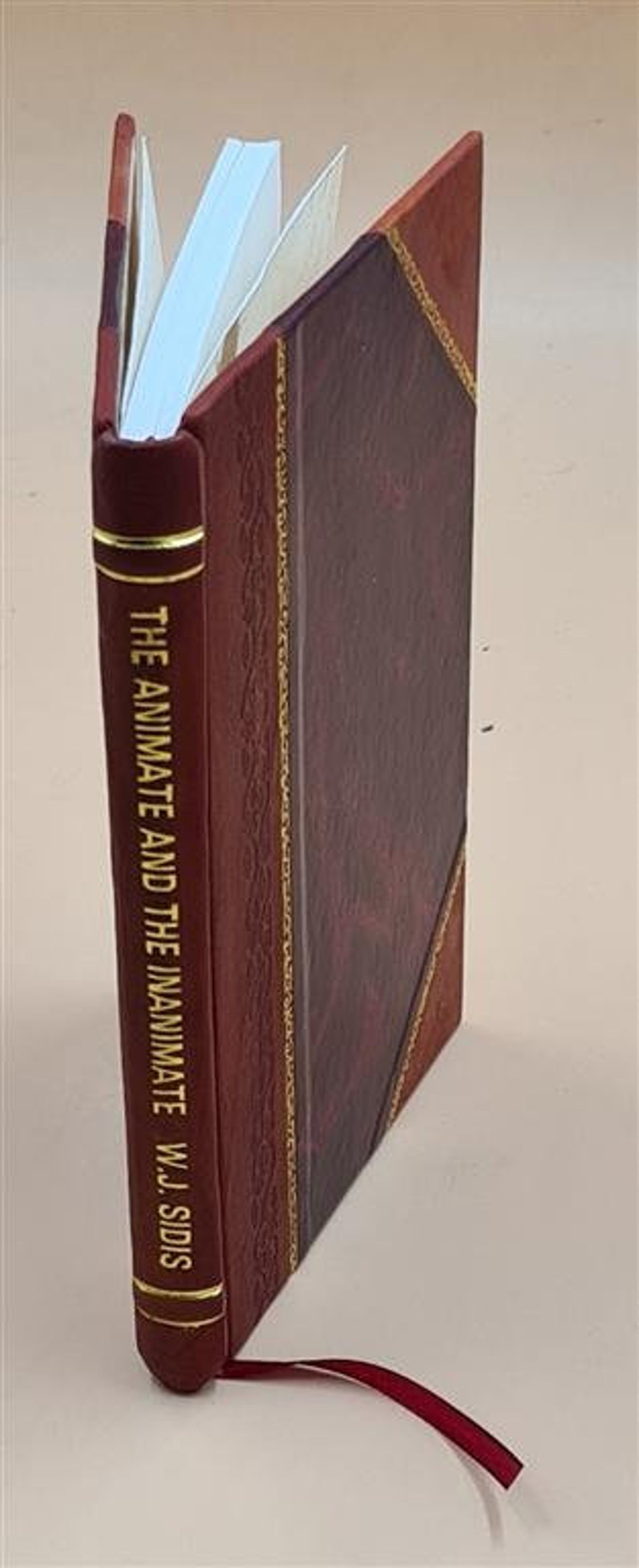 The Animate and the Inanimate / William James Sidis. 1925 Etsy