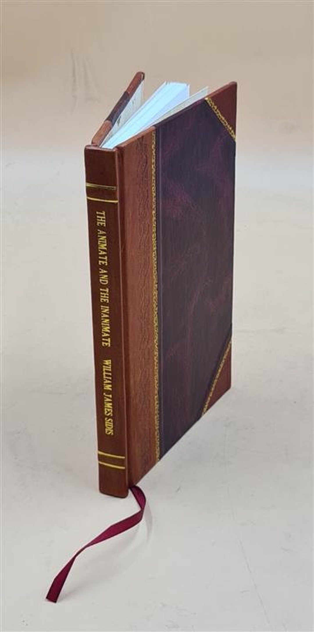 The Animate and the Inanimate / William James Sidis. 1925 Etsy