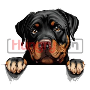 Rottweiler PNG Printable Sublimation Design or Clipart Peeking Face ...