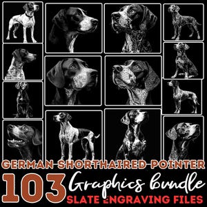 Könnte beinhalten: Eine Sammlung von 103 Schwarzweiß-Digitalillustrationen von Deutsch Kurzhaar in verschiedenen Posen. Die Illustrationen eignen sich für die Gravur auf Schiefer.