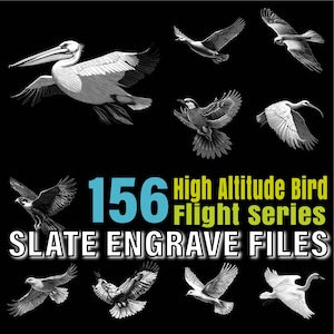 Arquivos de gravação em ardósia Pacote de arquivos de montanha-russa da série High Altitude Bird Flight | design de pássaros planando | download instantâneo | uso comercial