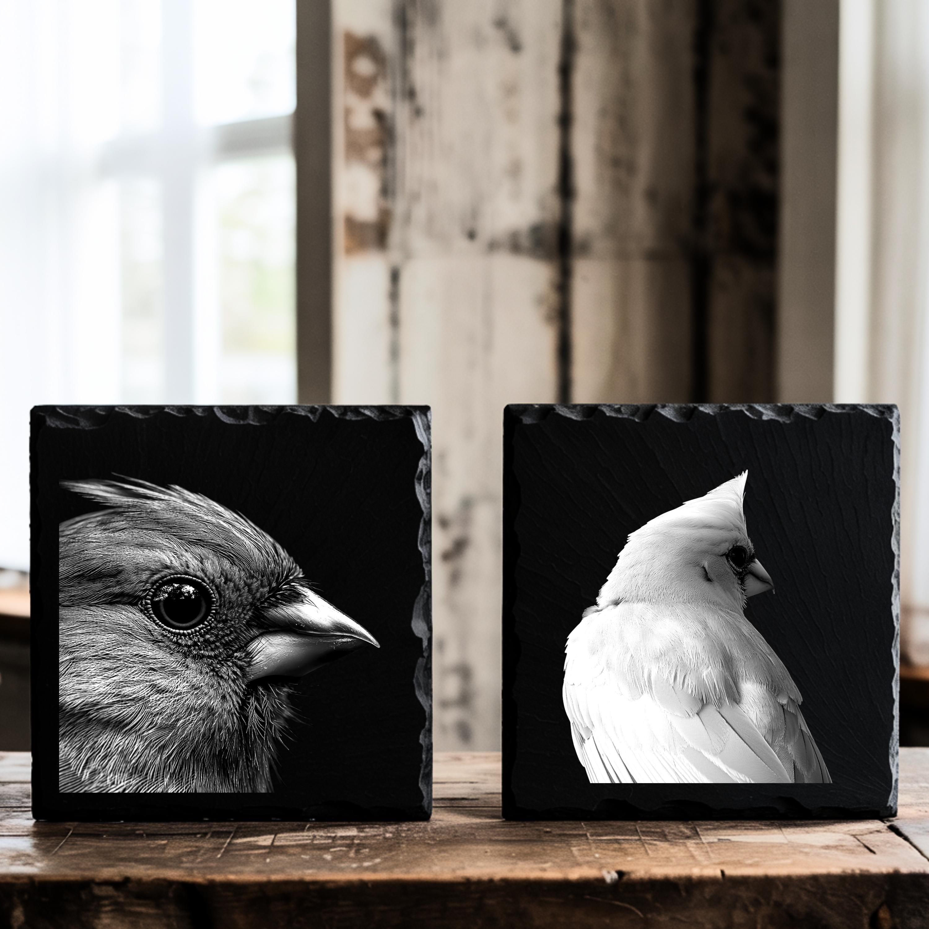 Regal Graphic Examples Slate Engraving Files Cardinal Bird Highly Detailed Regal Graphic ...