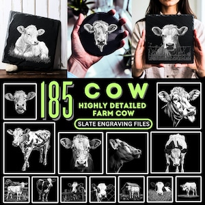 Puede incluir: 185 archivos de grabado en pizarra de vaca de granja altamente detallados. La imagen muestra una colección de 15 ilustraciones de vacas en blanco y negro, perfectas para grabar en pizarra.