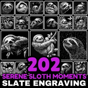 May include: A collection of 12 black and white engraved slate tiles featuring various sloth poses. The tiles are arranged in a grid pattern and include the text "202 SERENE SLOTH MOMENTS SLATE ENGRAVING".