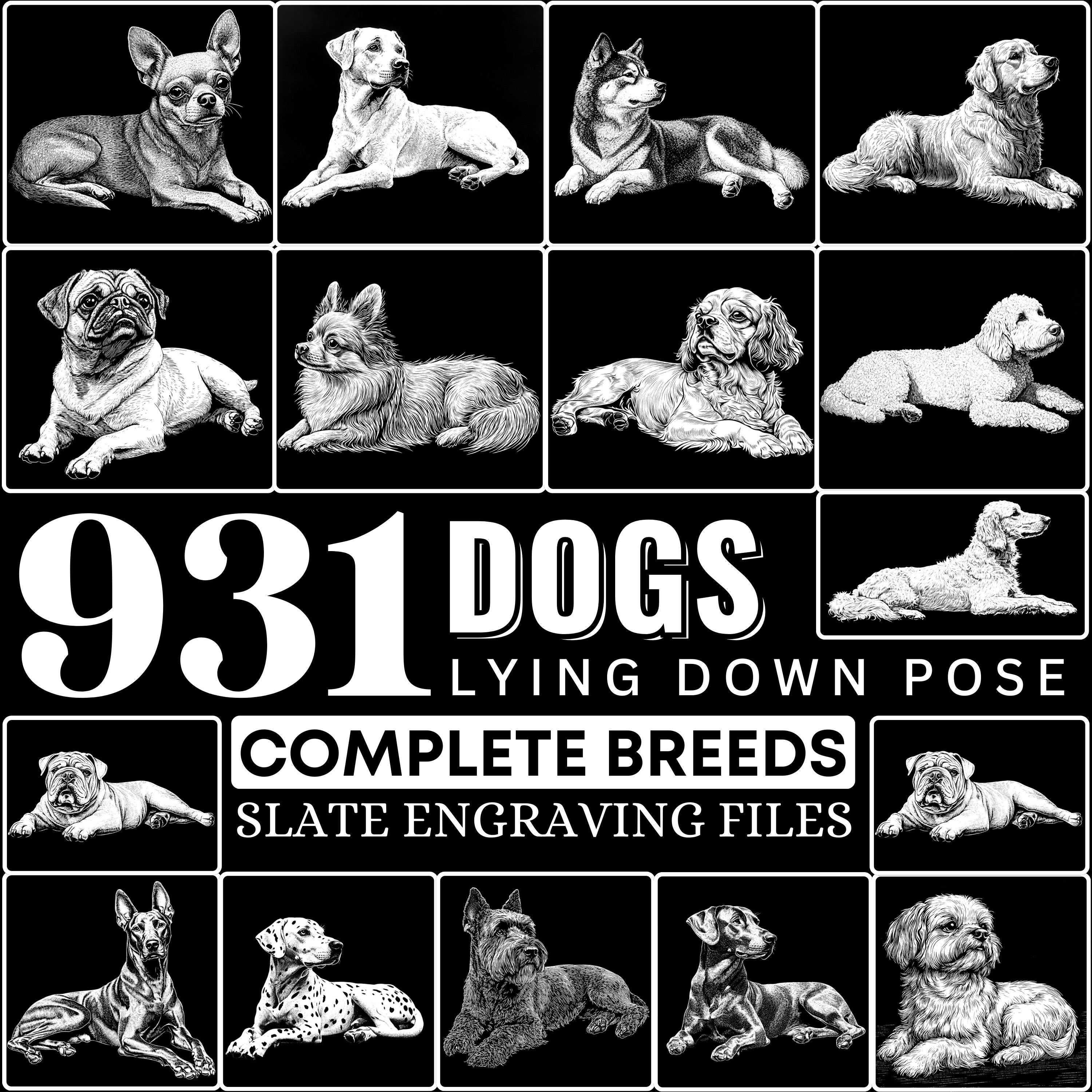 Slate Engrave Files Dogs Lying Down Complete Breeds Laser Ready PNG ...