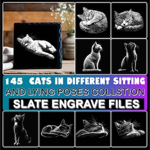 Op de afbeelding: Illustraties van katten in verschillende houdingen, liggend en zittend. De afbeelding toont een leigravure met een kattenontwerp en de tekst "145 CATS IN DIFFERENT SITTING AND LYING POSES COLLSTION SLATE ENGRAVE FILES."