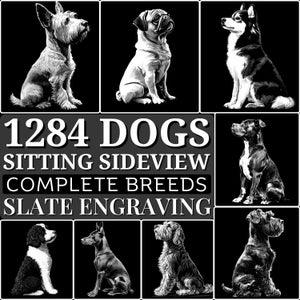 Schiefer gravierte Dateien Hunde sitzend 320 Rassen Laser bereite PNG-Dateien für die Gravur, CNC, Lightburn, digitale Downloads