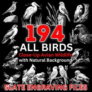 Schiefer Engrave Dateien Alle Vögel - Nahaufnahme Vogelwildleder, Laser-bereite PNG-Gravur-Dateien, CNC, Lightburn, Kommerzielle Nutzung Downloads