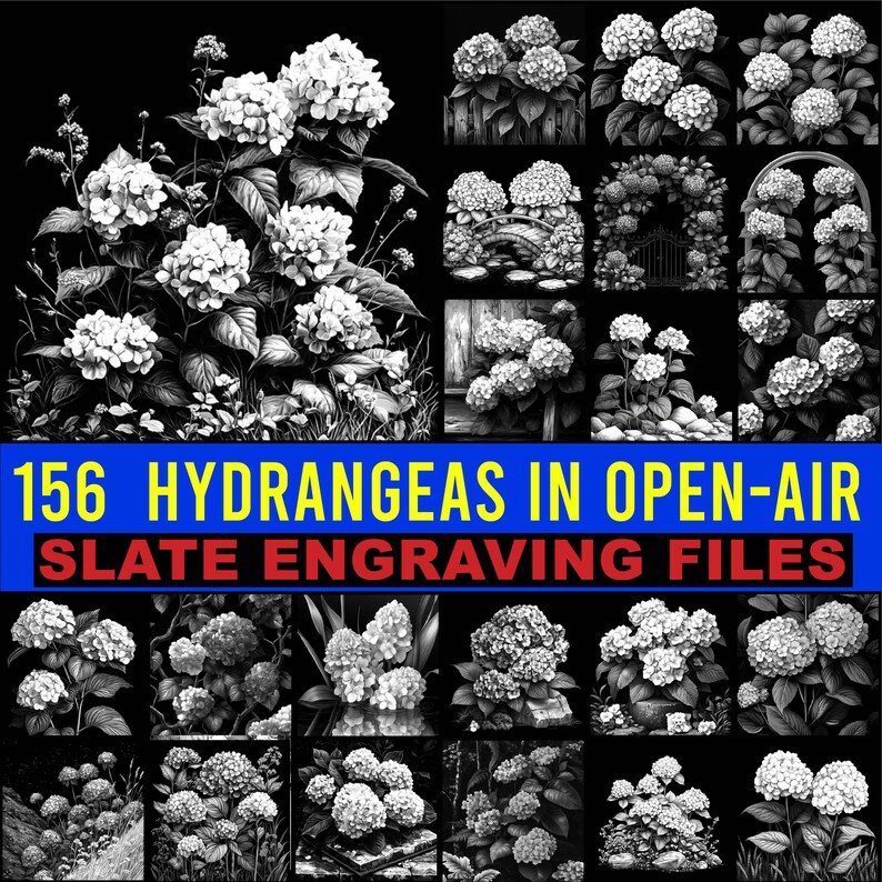 Hydrangea File Slate Engraving Files Hydrangeas in Open-air Natural Settings Bundle ...