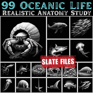 May include: Black and white illustrations of various marine life, including a crab, fish, jellyfish, and other sea creatures. The text "99 OCEANIC LIFE REALISTIC ANATOMY STUDY" is at the top. The text "SLATE FILES" is in a red rectangle.