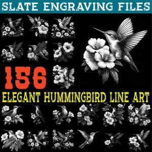 Può includere: Una collezione di 156 eleganti disegni di line art di colibrì in bianco e nero. L'immagine presenta varie illustrazioni di colibrì con fiori, su sfondo nero. Il testo in alto recita "SLATE ENGRAVING FILES".