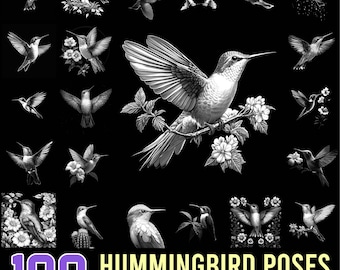 Slate engrave files Hummingbird Poses and Daily Life Moments Png & Jpeg instant downloads