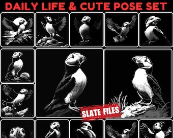 Slate engraving files puffin bird daily life moments and cute poses set bundle coaster files | instant download | commercial use