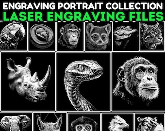 Puede incluir: Una colección de 243 ilustraciones de animales de la selva en blanco y negro para grabado láser. Las imágenes incluyen un loro, una serpiente, un mono, un lémur, un caimán, un leopardo, un rinoceronte, un hipopótamo, un elefante, un zorro y un águila.
