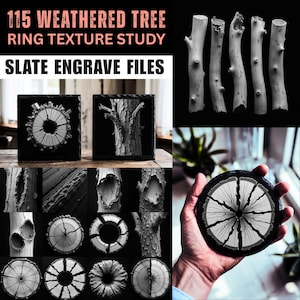 May include: A collection of grayscale images showcasing weathered tree textures. The images include cross-sections of tree trunks, detailed bark close-ups, and carved slate designs. Text at the top reads "115 WEATHERED TREE RING TEXTURE STUDY" and "SLATE ENGRAVE FILES".
