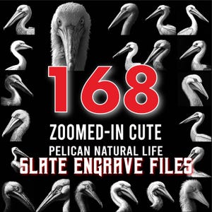 Schiefer gravierte Dateien in süßem Pelikan Naturleben Szenen Sammlung Bündel Untersetzer Designs | Sofortdownload | kommerzielle Nutzung