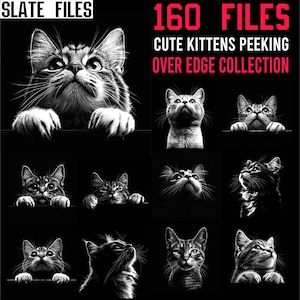 May include: A collection of grayscale images of kittens peeking over an edge. The images are set against a black background. Text at the top reads "160 FILES" and "CUTE KITTENS PEEKING OVER EDGE COLLECTION".