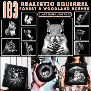 May include: 183 Realistic Squirrel Forest & Woodland Scenes Slate Engraving Files. A collection of black and white engraved images of squirrels in various poses, including a squirrel holding a pine cone, a squirrel in a tree, and a squirrel under a mushroom.