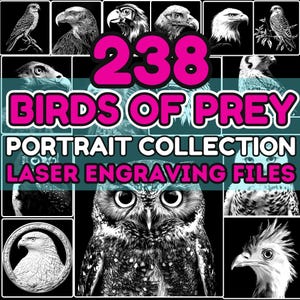 Könnte beinhalten: Eine Collage aus 238 Schwarzweiß-Porträts von Greifvögeln mit der Aufschrift "238 Birds of Prey Portrait Collection Laser Engraving Files".