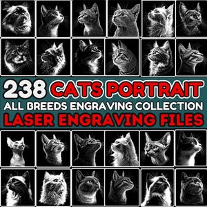 Leisteengraveerbestanden kattenportret - alle rassen, laserklaar PNG-gravurebestanden, CNC, Lightburn, downloads voor commercieel gebruik