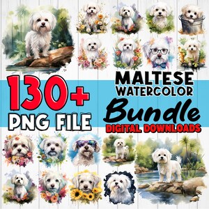 Maltese Dog Watercolor PNG Bundle Sublimation Design Printable High ...