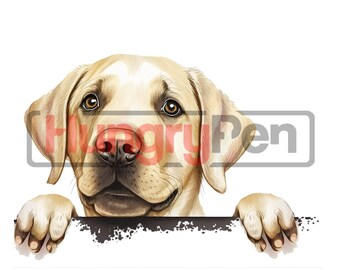 Labrador retriever PNG diseño de sublimación imprimible o Clipart - lindo perro mirando a escondidas descargas digitales instantáneas