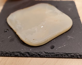 Scoby de Kombucha (12 centimetres minimum) avec Starter de démarrage