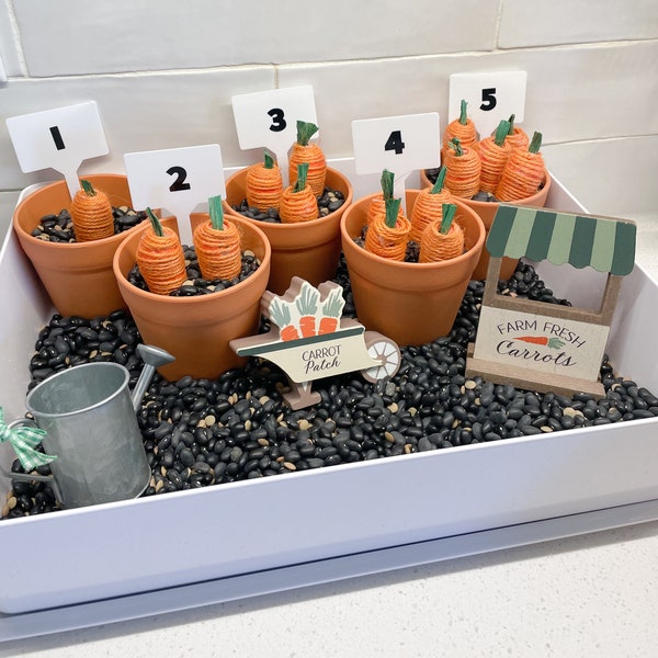 Carrot Count Sensory Bin Kit