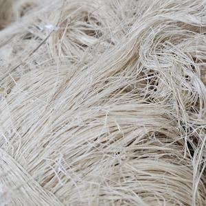 K&ouml;nnte beinhalten: Nahaufnahme eines B&uuml;ndels naturfarbener Fasern. Die Fasern sind lang, d&uuml;nn und haben eine leicht raue Textur. Die Fasern sind miteinander verflochten und scheinen lose miteinander verbunden zu sein, wodurch eine dichte, strukturierte Masse entsteht. Die Farbe ist hellbeige.