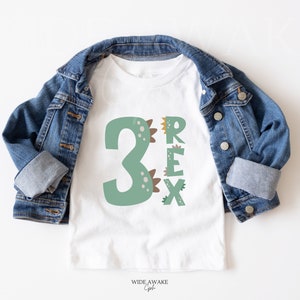 Three Rex Birthday Shirts, Family Matching 3rd Birthday T-shirts, Dinosaur Third Birthday Party Tee, Three Rex Boy Outfit, Mamasaurus Shirt