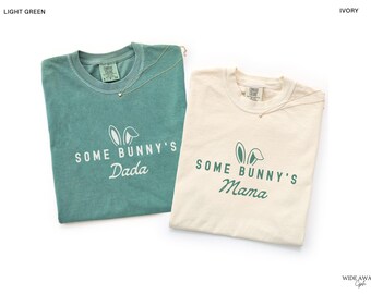 Some Bunny is One First Birthday Matching Family Shirts, Easter Bunny 1st Birthday T-shirt, Comfort Colors® Adult Tee