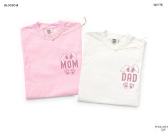 Some Bunny is One First Birthday Matching Family Shirts, Easter Bunny 1st Birthday T-shirt, Comfort Colors® Adult Tee