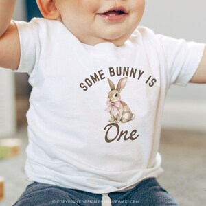 Some Bunny is One First Birthday Matching Family Shirts, Easter Bunny 1st Birthday T-shirt, Comfort Colors® Adult Tee bild 6