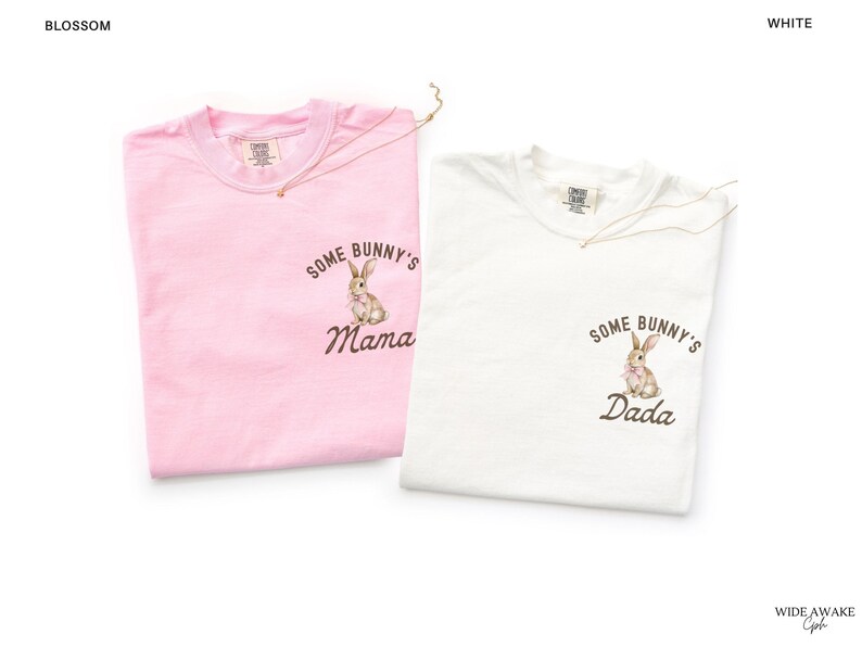 Some Bunny is One First Birthday Matching Family Shirts, Easter Bunny 1st Birthday T-shirt, Comfort Colors® Adult Tee bild 7