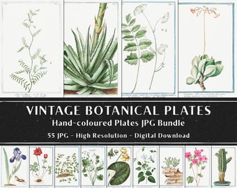 55 Vintage Botanical Plates, Botany Plant Images, Botanical Wall Art Bundle, Vintage Flowers Illustrations, Digital Download