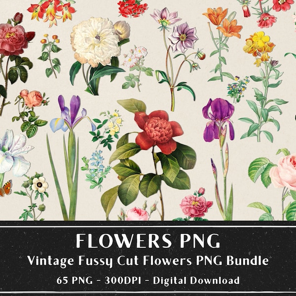 65 Vintage Flowers PNG Images, Fussy Cut Clipart, Digital Stickers for Note Apps, Junk Journals, Scrapbooking, Digital Download