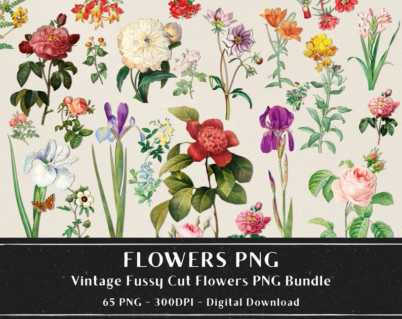 65 Vintage Flowers PNG Images, Fussy Cut Clipart, Digital Stickers for Note Apps, Junk Journals, Scrapbooking, Digital Download image 1